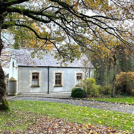 Country Garden House Holiday Homes Ballymoney Exteriör bild