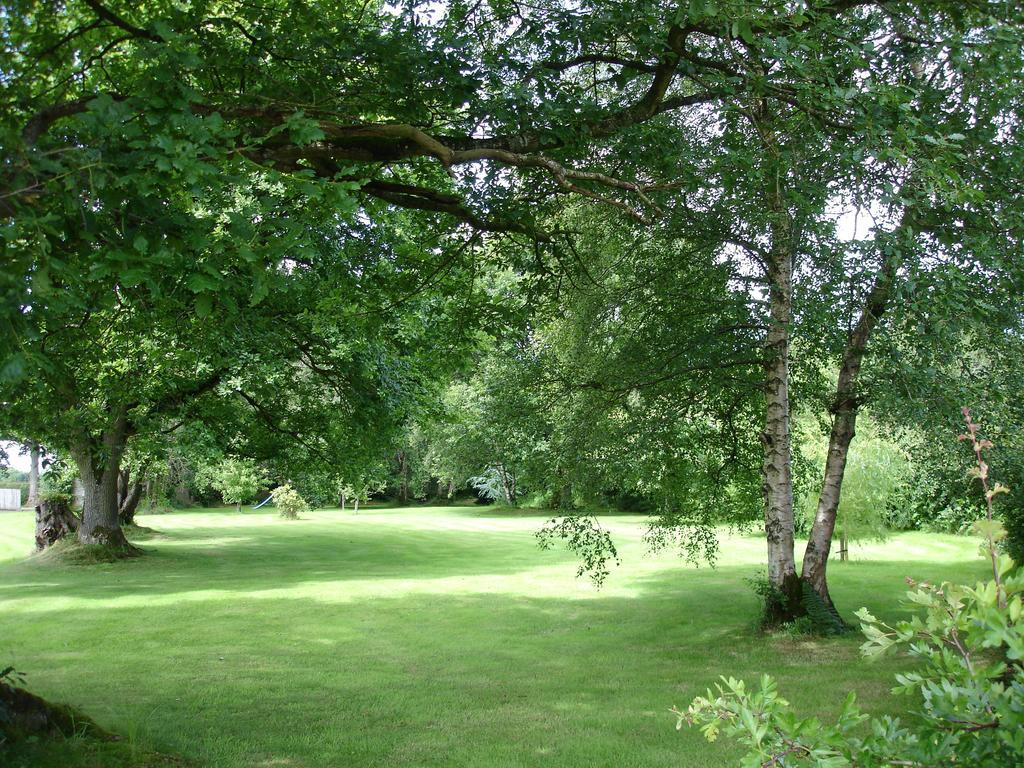 Country Garden House Holiday Homes Ballymoney Exteriör bild